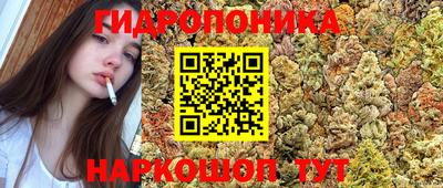 стаф Ирбит