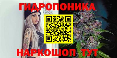 spice Канаш