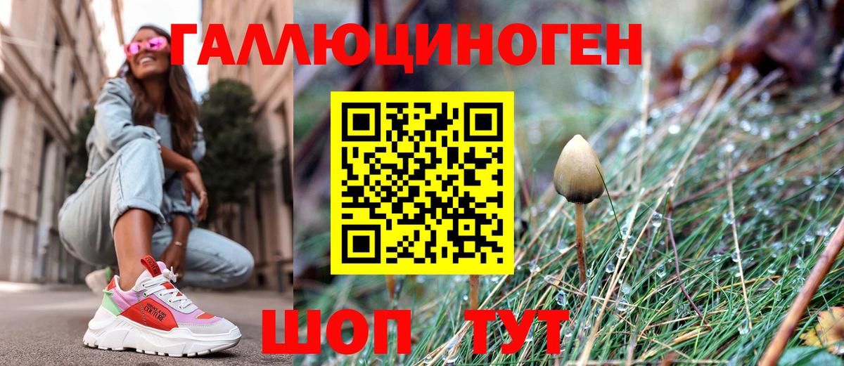 Галлюциногенные грибы Magic Shrooms  Вход с VPN  Ливны 